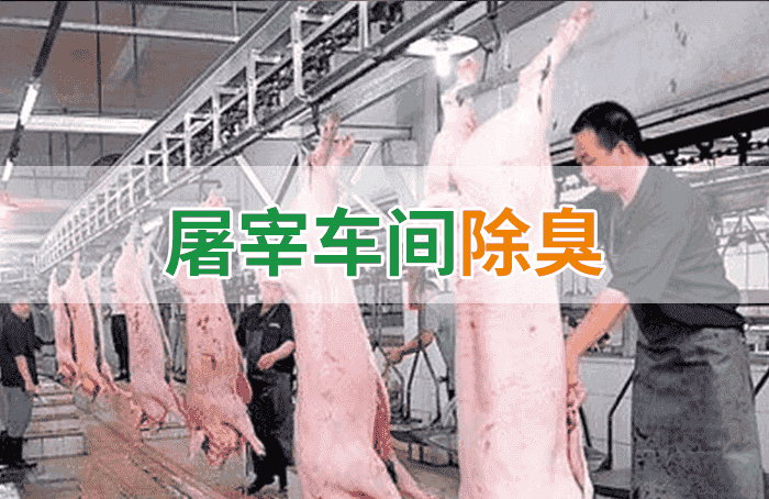 潔匠凈化·的凈工業除臭劑_屠宰場臭氣影響周邊環境？解決辦法在這里-1