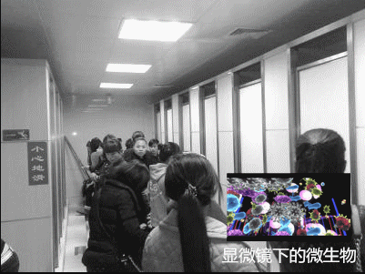 景區(qū)&商場&酒店&寫字樓公用衛(wèi)生間異味大，潔匠凈化有妙招！