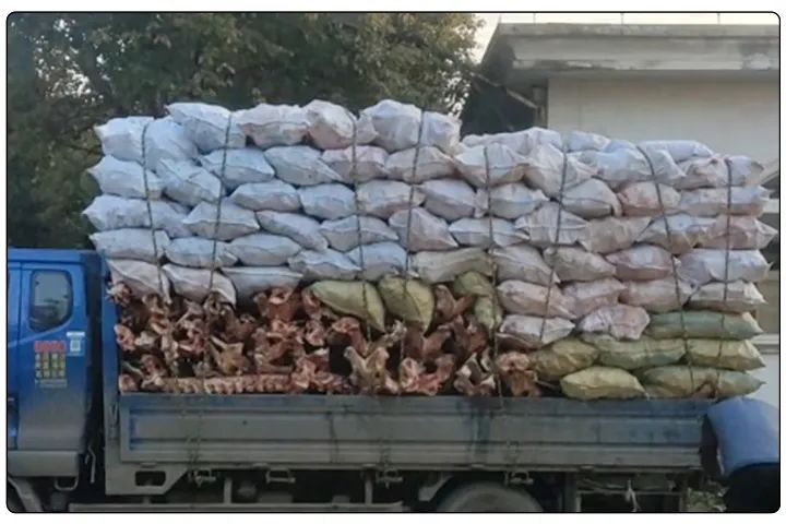 動(dòng)物骨回收“變廢為寶”，堆放、加工異味難題，如何使用除臭劑解決？